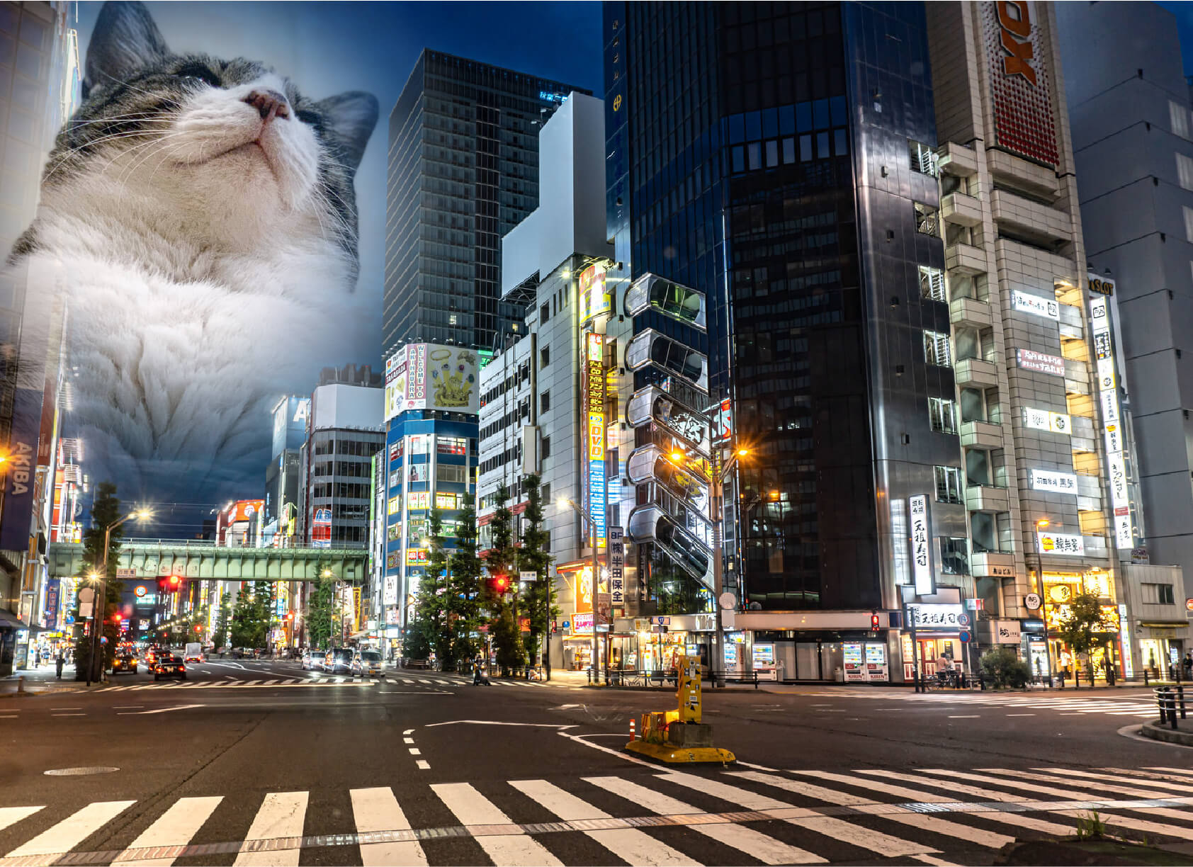 だんだん透明になるグラデーションの作り方　【応用編】２つの画像をなじませる　２つの写真を使って、夜の街に浮かび上がる猫の画像を作成　画像